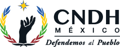 Profesionalización